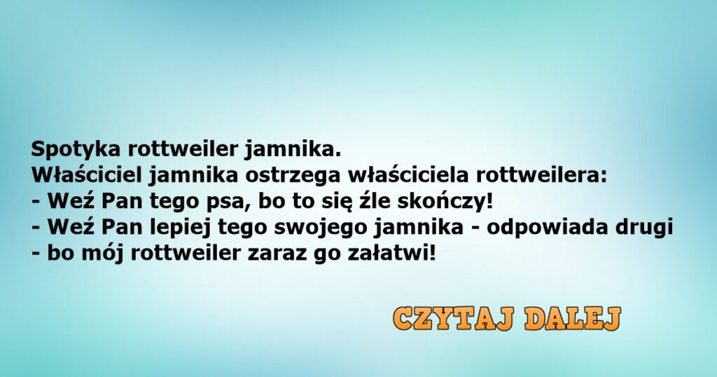 Kawał Spotyka Rottweiler Jamnika Centralnierealnepl Najlepsze Newsy W Sieci 0950